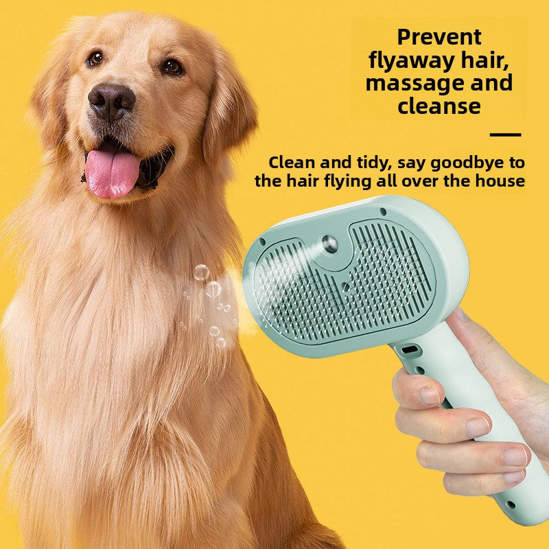 Aurel Steam Groom Brush