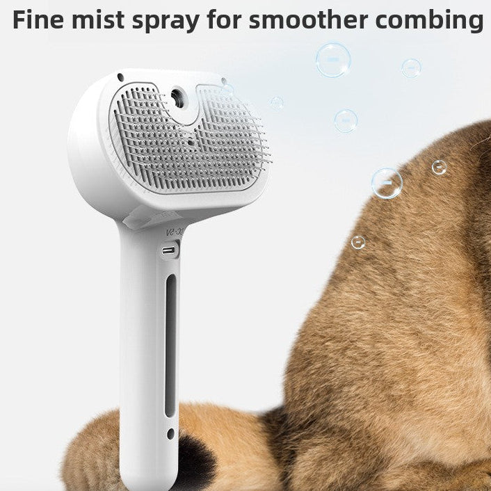 Aurel Steam Groom Brush